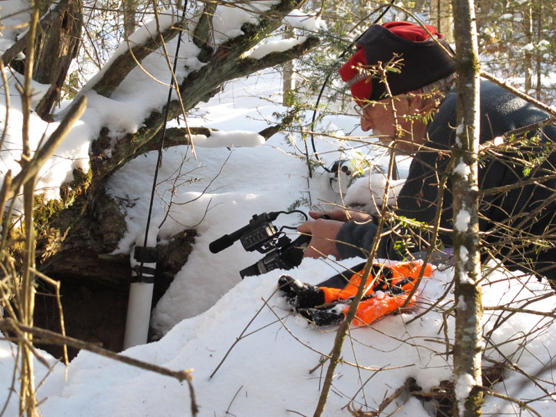 Lynn at Jewel's den - Feb 3, 2012