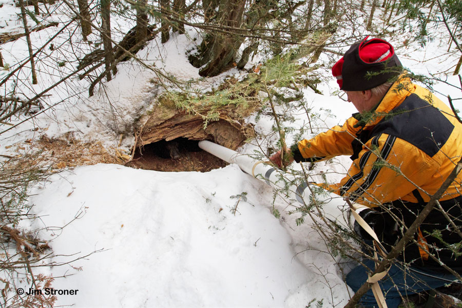 Lynn installing_den_cam_-_Stroner_-_20120107