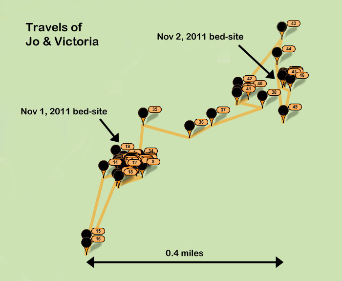 Map of_Jo_and_Victoria_-_20111102