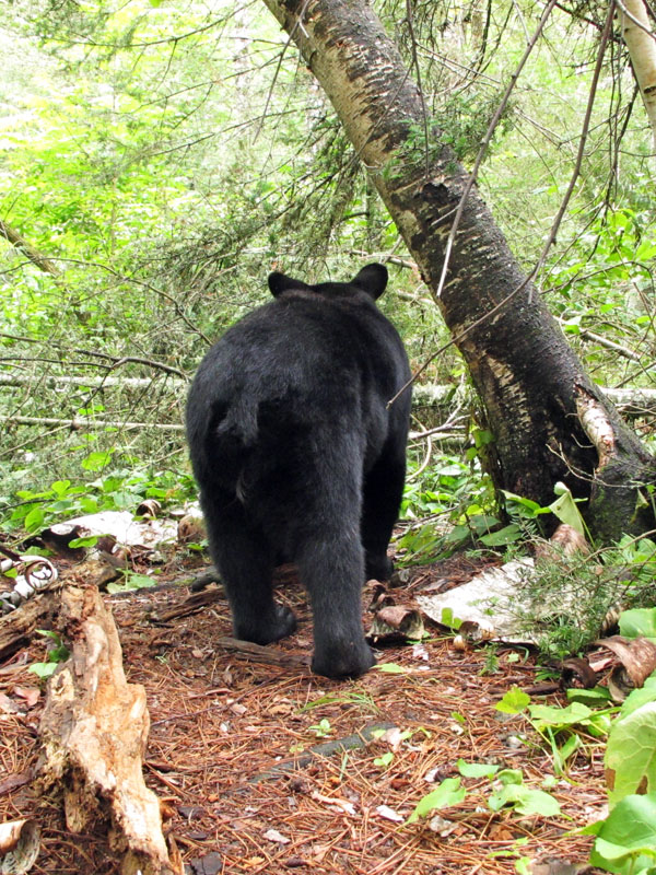 Oliana walks away - July 25, 2012