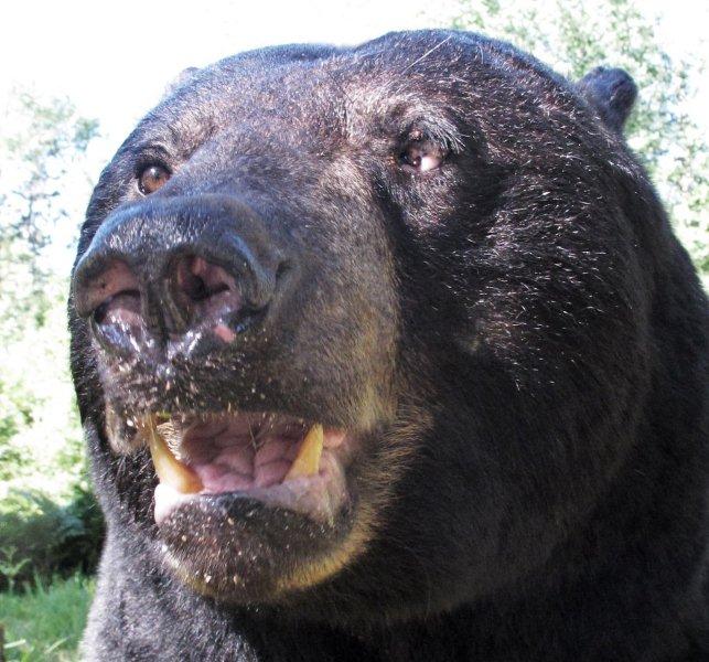 One-eyed_Jack_7-13-11