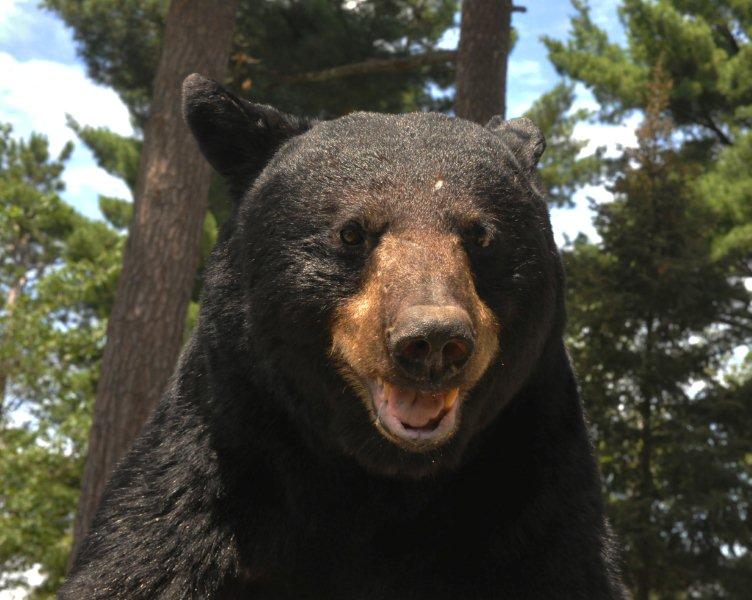 One-eyed_Jack_7-14-11