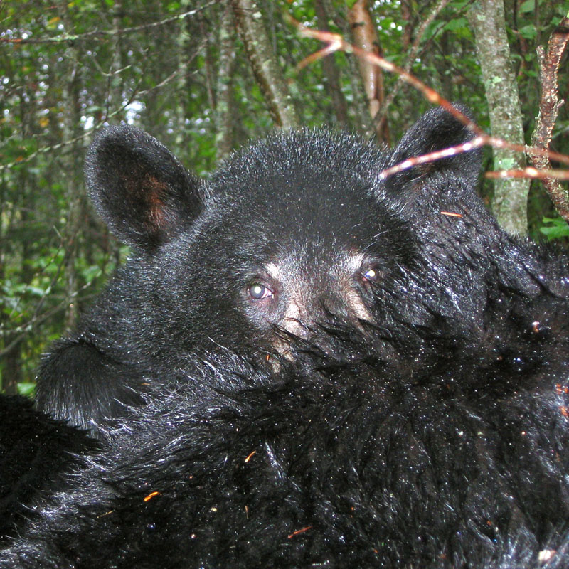 Pete - Sept 24, 2005