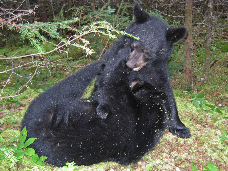 Pete and George Playing - march 9, 2012