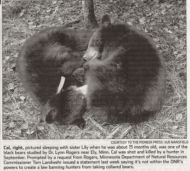 Pioneer_Press_B_20110306