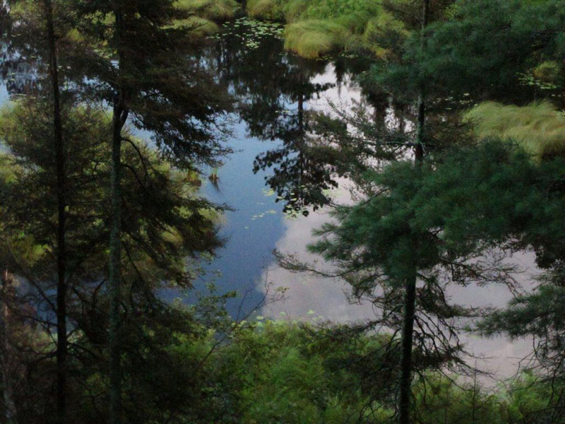 Reflections - July 20, 2012