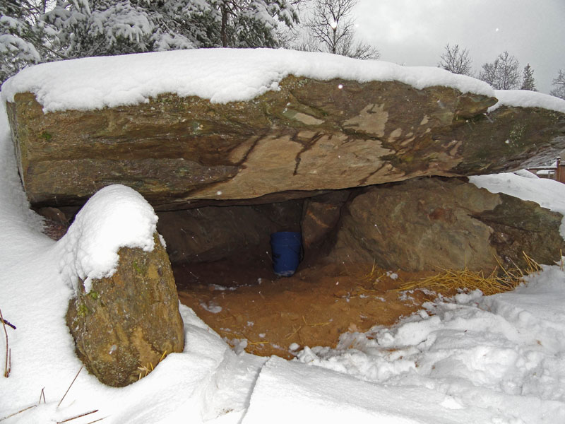 rock den used by Honey and Lucky 3 years ago and excavated by Ted this year