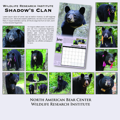 Shadows Clan_2012_back