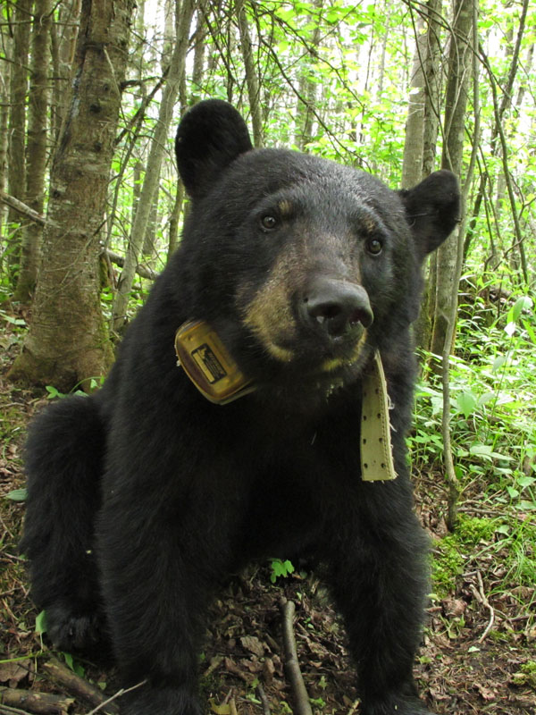 Sharon - June 13, 2012