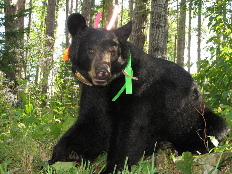 Sharon - Aug 21, 2012