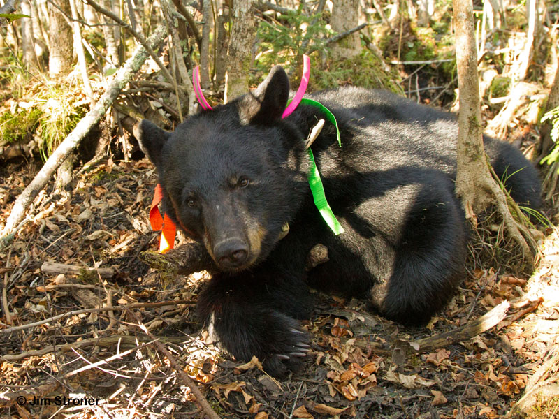 Sharon - Sept 3, 2012