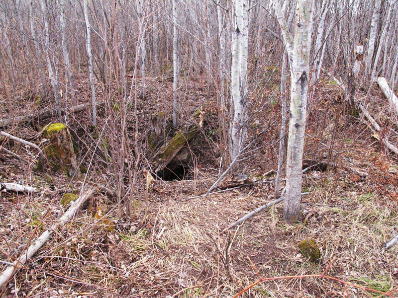 Sharon's empty den - March 21, 2012