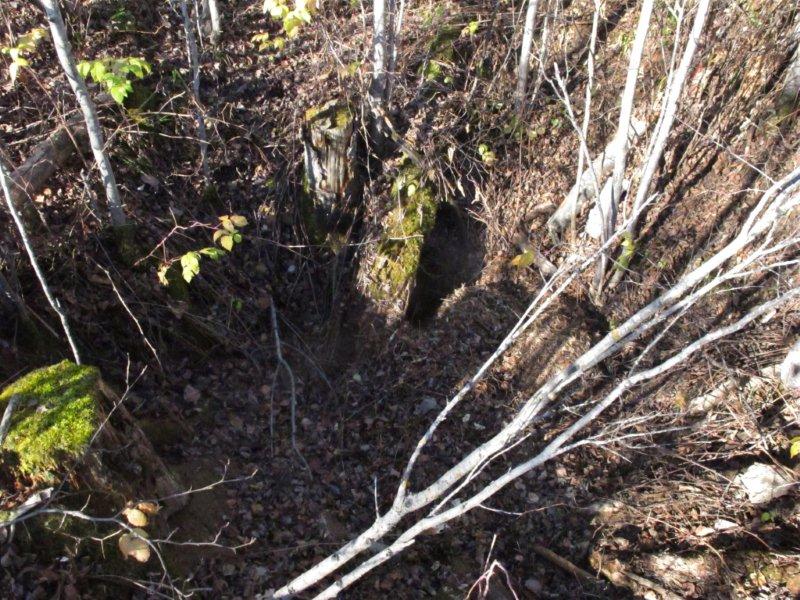 Sharon's den - Oct 26, 2011