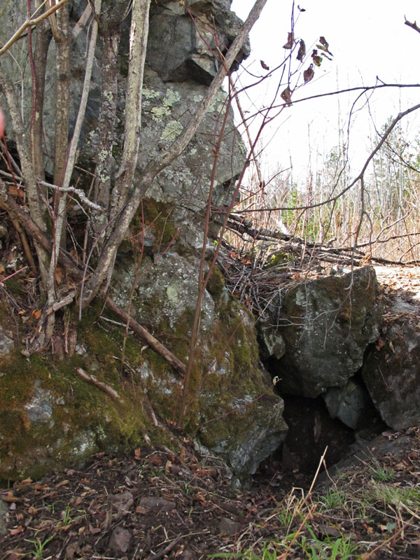 Shirley's den - Oct 26, 2011