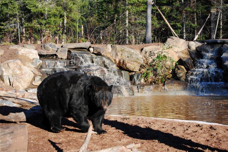 Ted _waterfalls_10-26-11