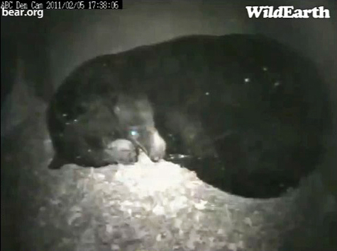 Ted_and_Lucky_-_20110206_173806