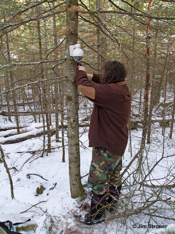 Ted installing PTZ camera