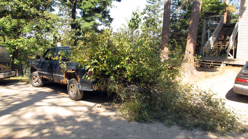 One of many loads of brush cut by volunteers! - Sept 3, 2012