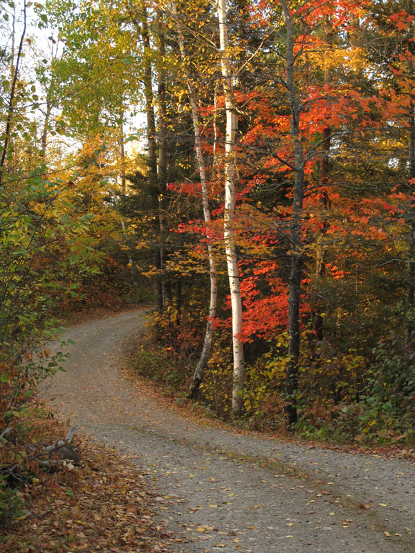 WRI driveway_-_201100928