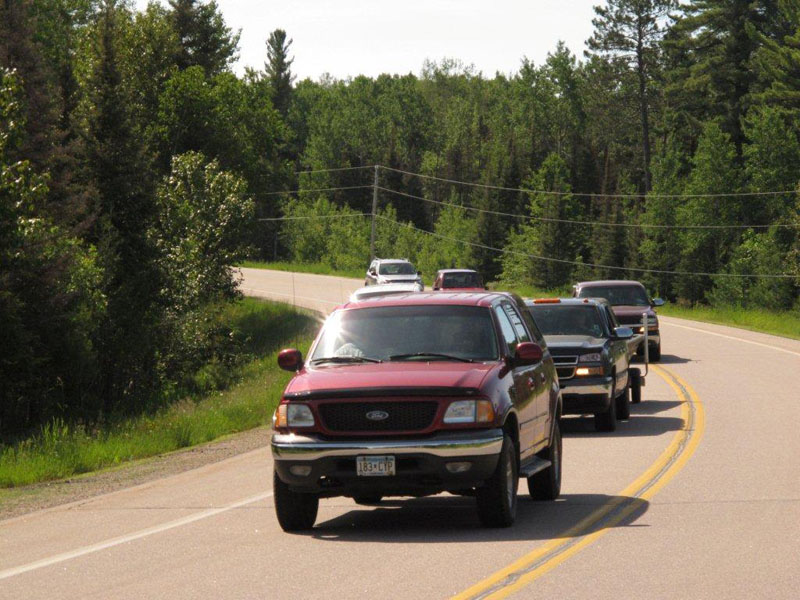 Cars slowed to watch wolf - June 16, 2012
