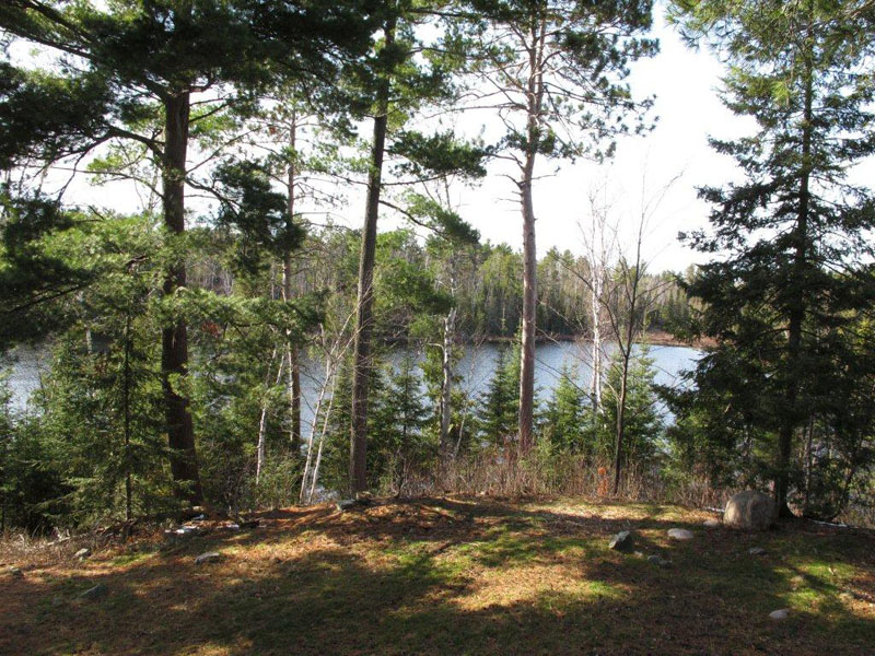 Woods_Lake_-_20110428