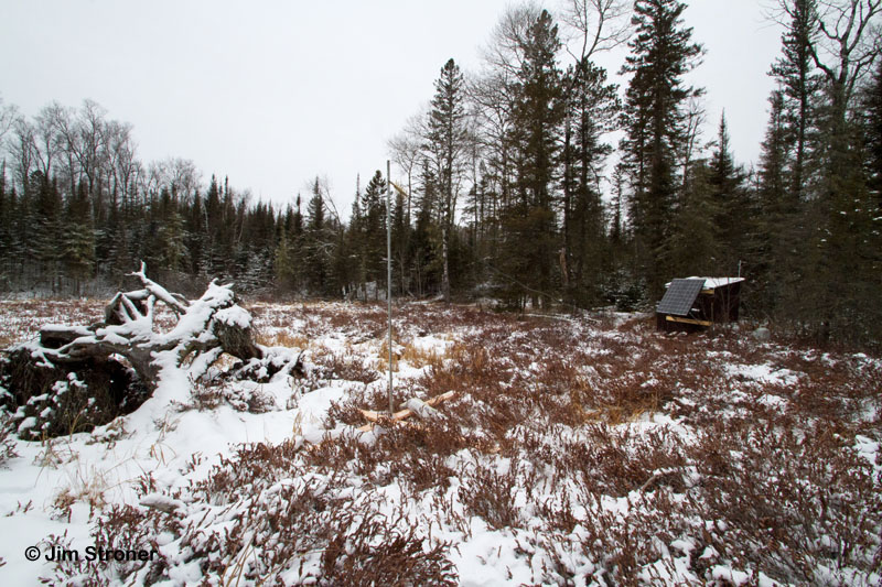 Yagi antenna 50' from den shed - Jan 21, 2012