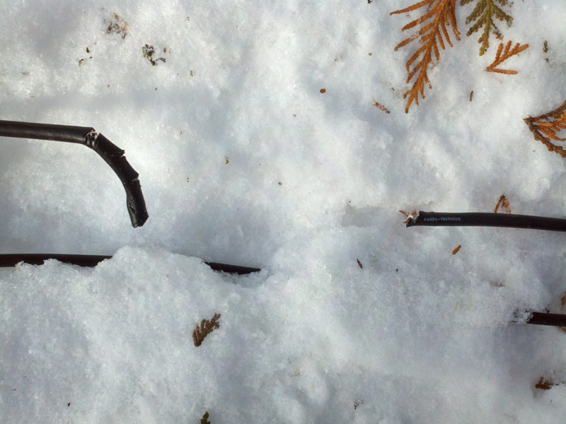 bitten_cable_-_20110221