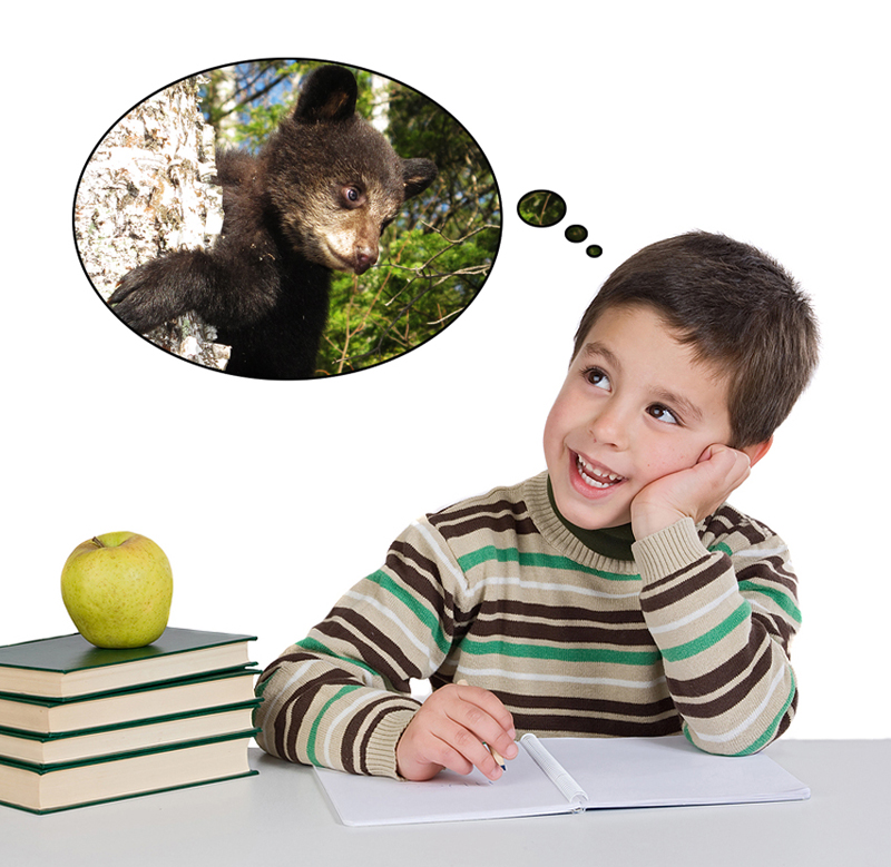 boy_thinking_of_bears-sm