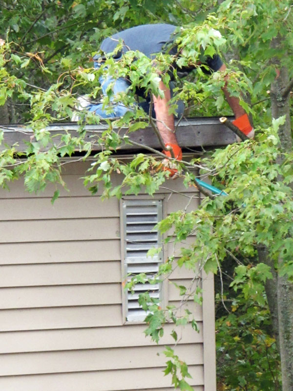 Brush cutting - Sept 5, 2012  