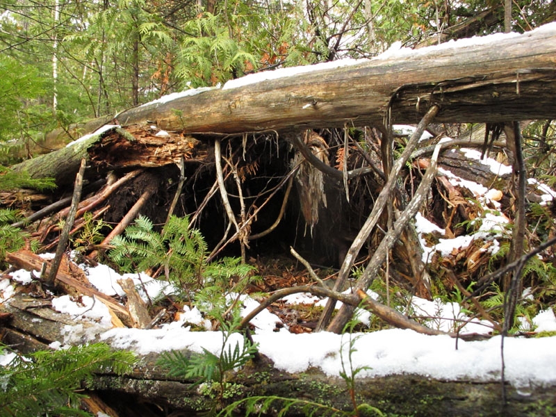 den Jo_check_out_-_20111027