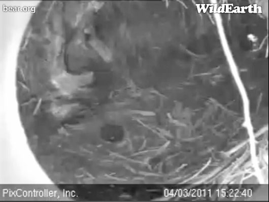 empty_den_-_20110103_152240