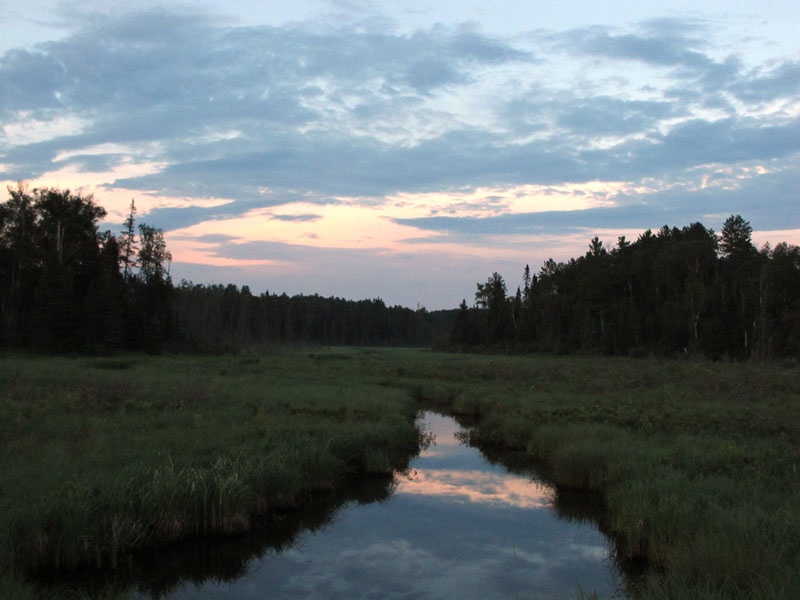 Evening light - July 13, 2012