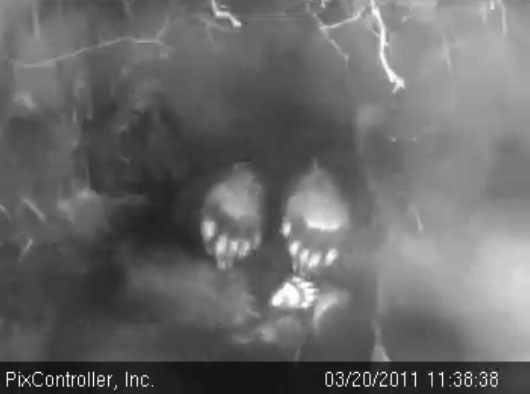 feet_-_20110320_113838