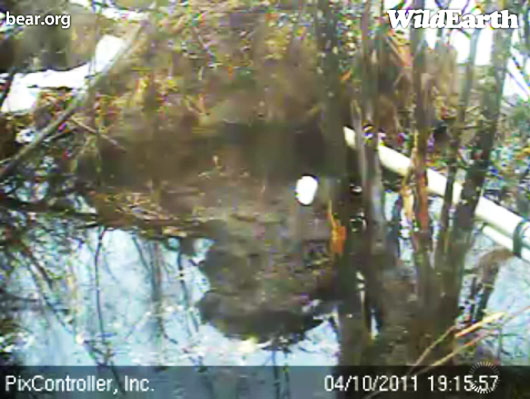 flooded_den_-_20110410_191557