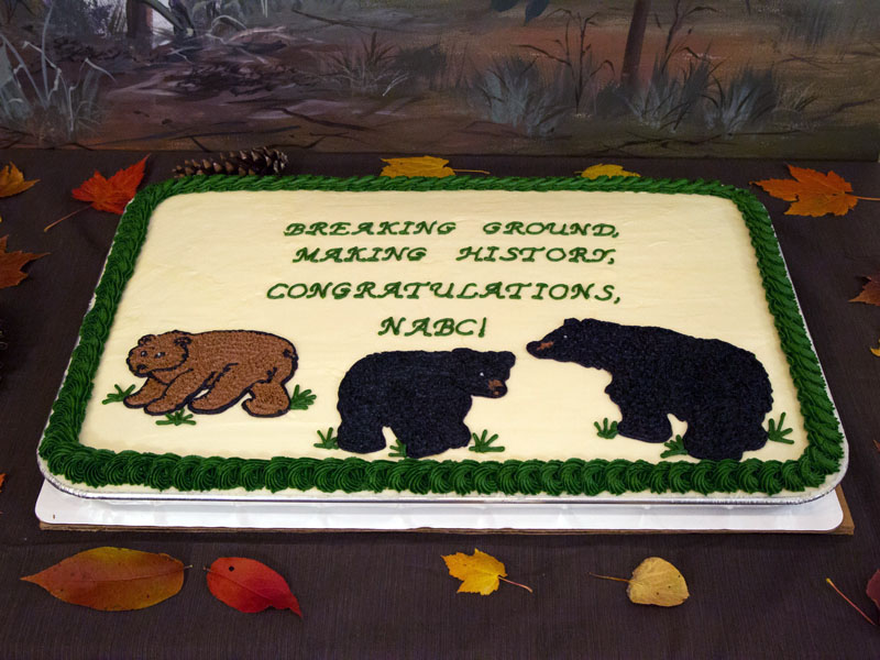 groundbreaking cake