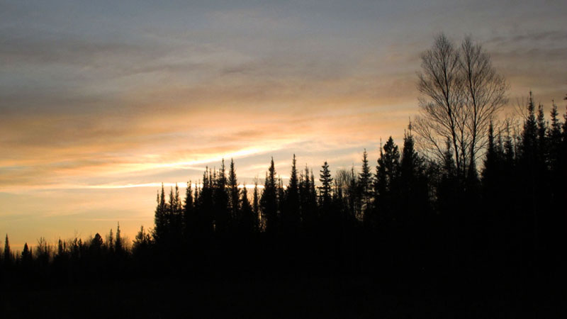late fall_evening_-_20111111