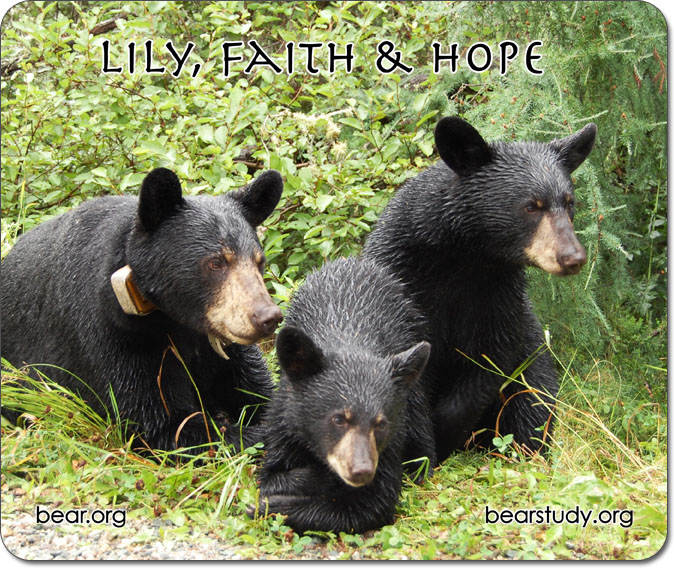 mousepad - COMING SOON!