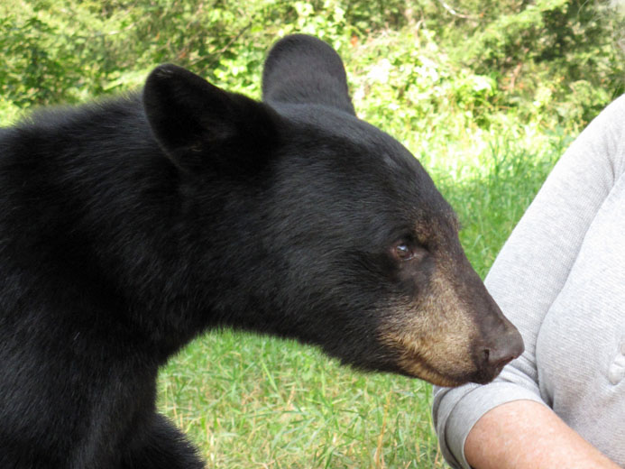 Oliana - July 31, 2012