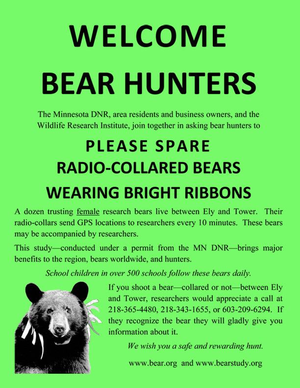 spare_collared_bears