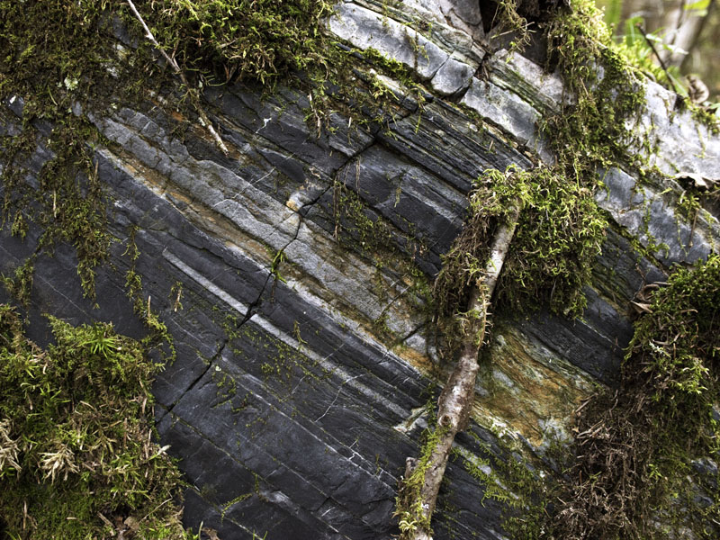 Striped rock near Jewel's bed site - Sept 28, 2012