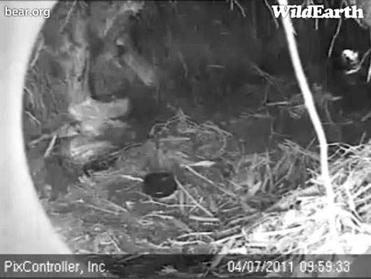 water_in_den_-_20110407_095933