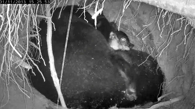 Jewel and Herbie - Jan 11, 2013