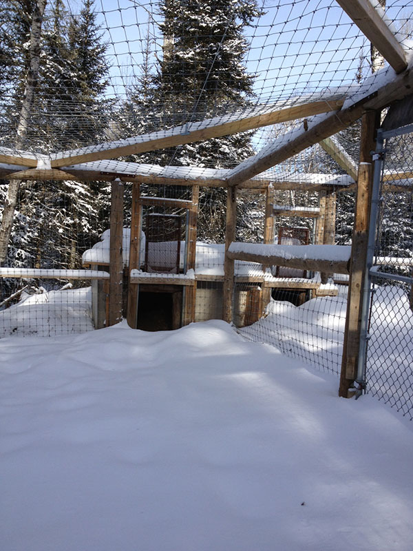 Honey's den - Jan 22, 2013