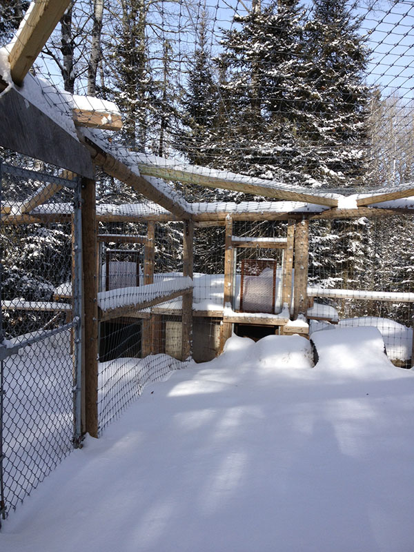 Lucky's den - Jan 22, 2013