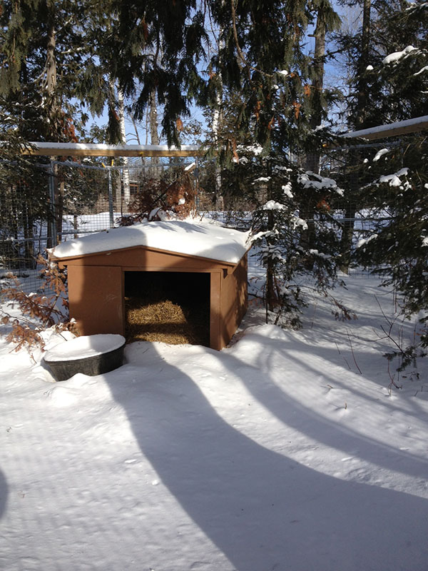 Ted's den - Jan 22, 2013