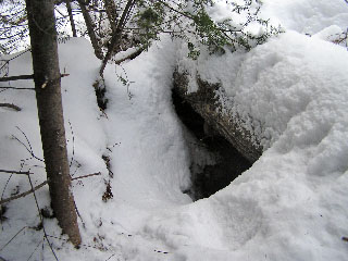 4-year-old Star's den - Jan 26, 2013