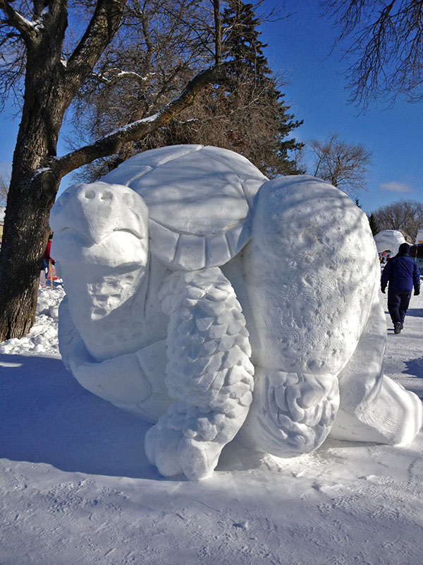 "Slow and Steady" an Aesop Fable