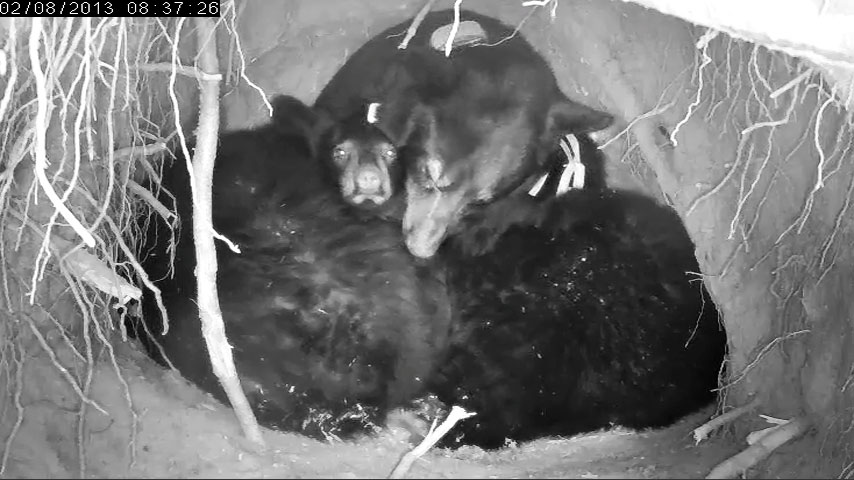 Jewel and Herbie - Feb 8, 2013