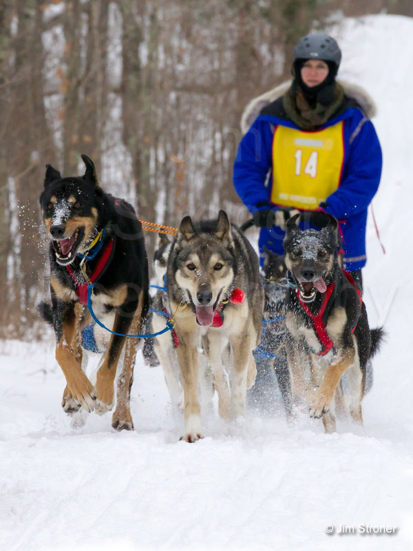 Teri Gapinski and her team  