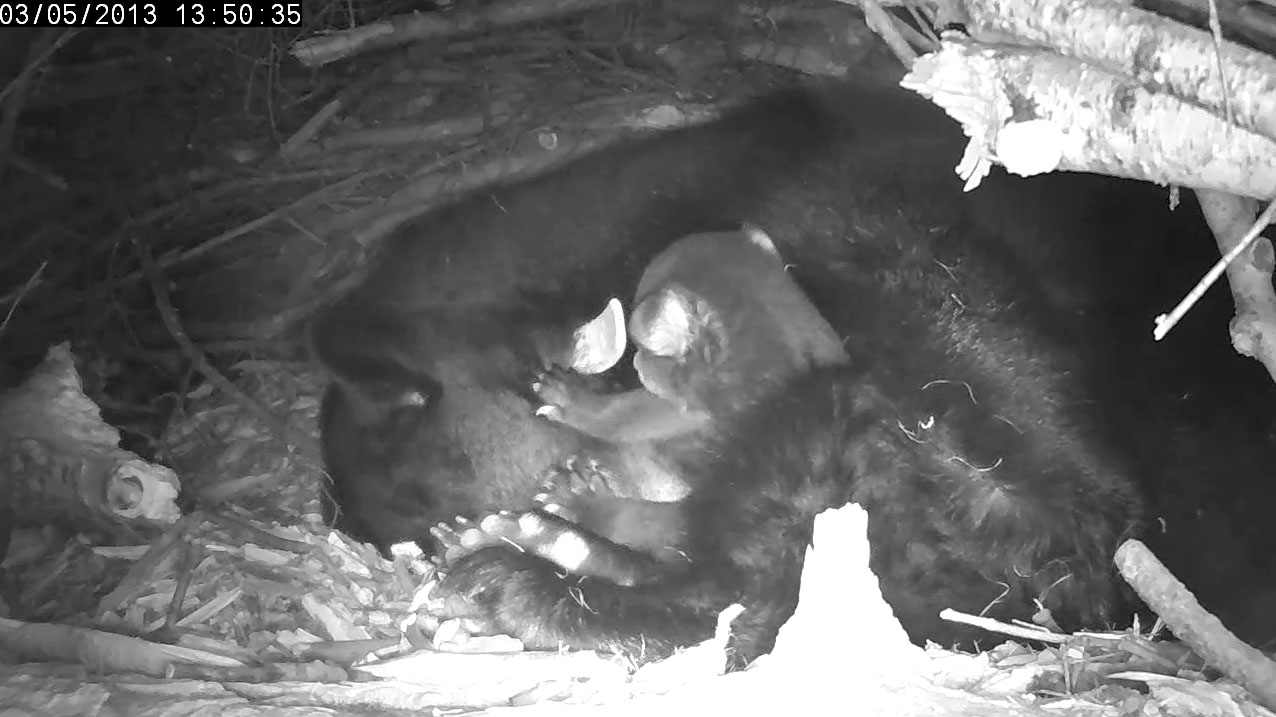 Mom...mom...you awake?